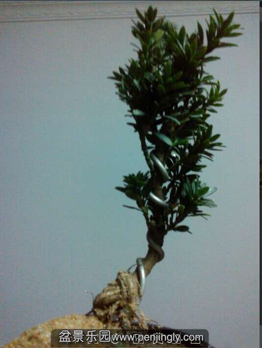QQͼƬ20140920223118.jpg