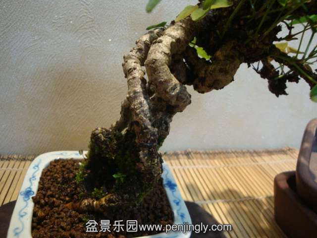 DSC08966.JPG