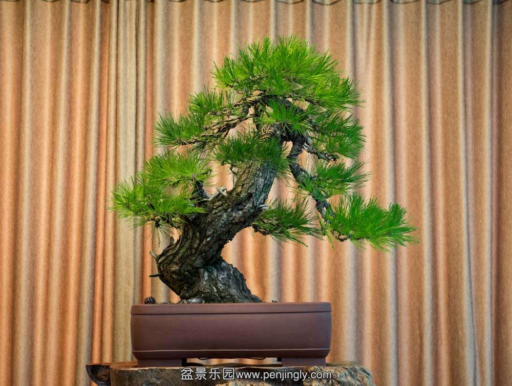 �����Ĵ���� (3).jpg