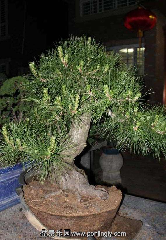 �����Ĵ���� (1).jpg