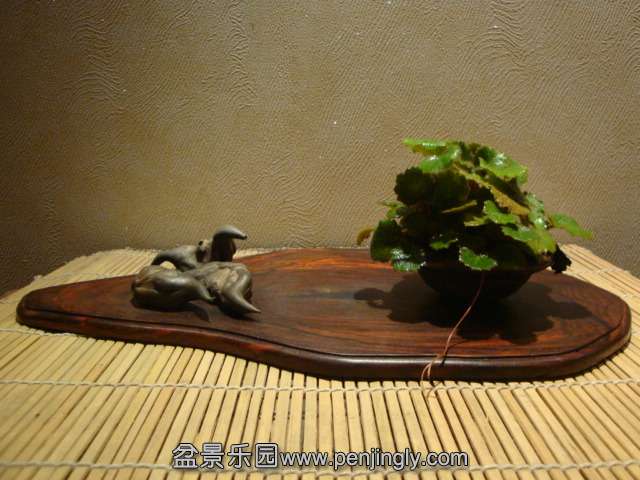 DSC08979.JPG