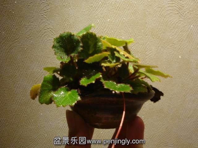 DSC08982.JPG