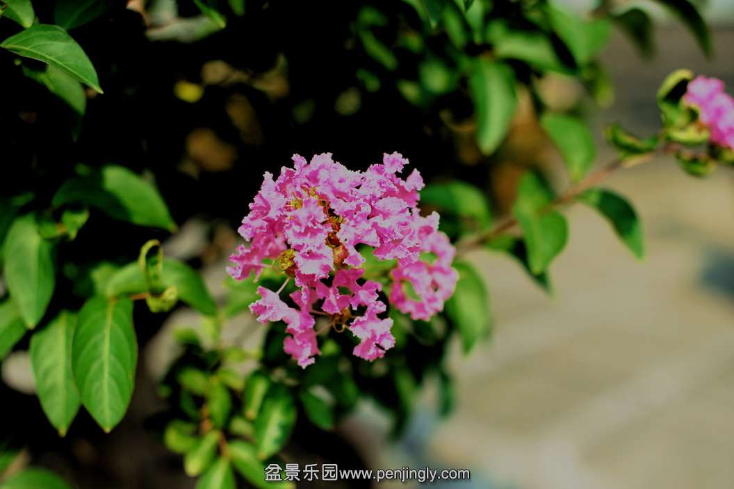 ZZS_5407.jpg