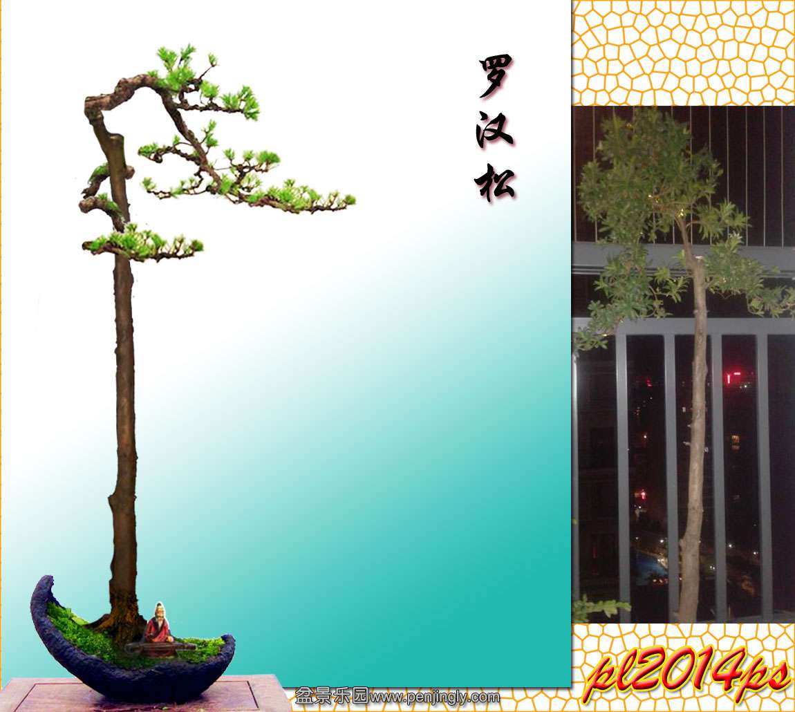 dsss.jpg
