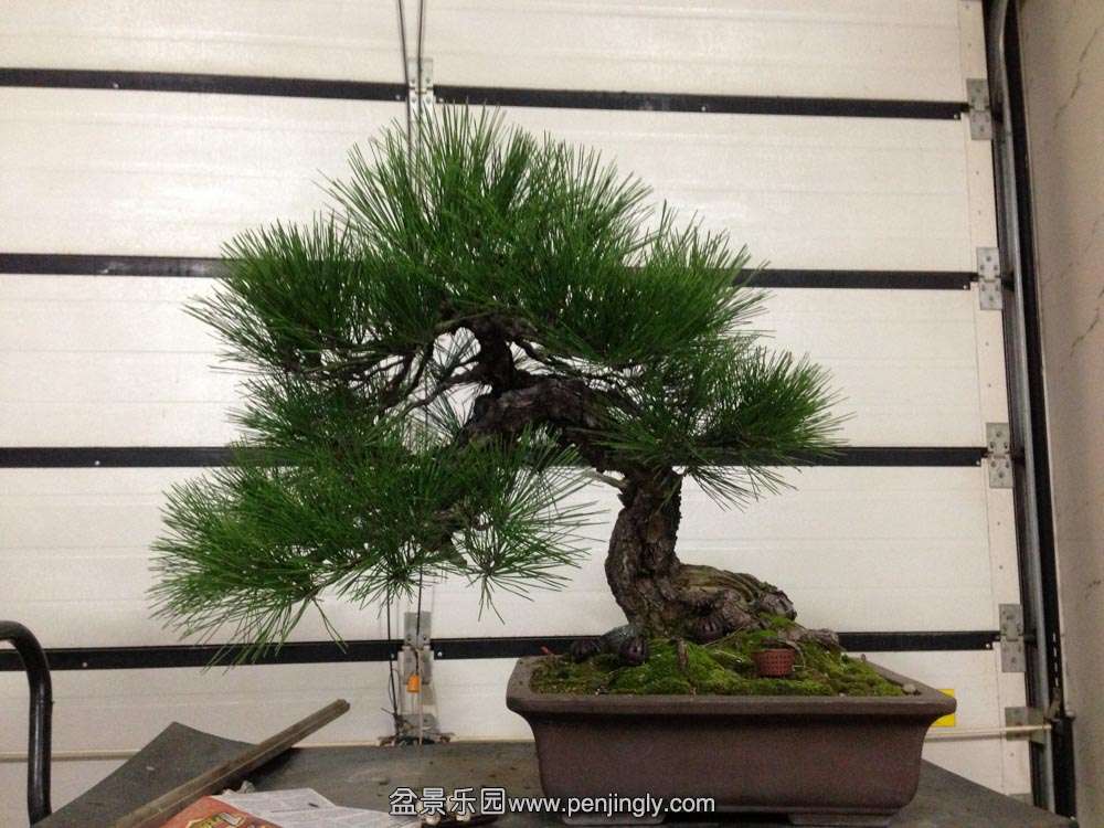 �Ϻ����ͱ� (1).jpg