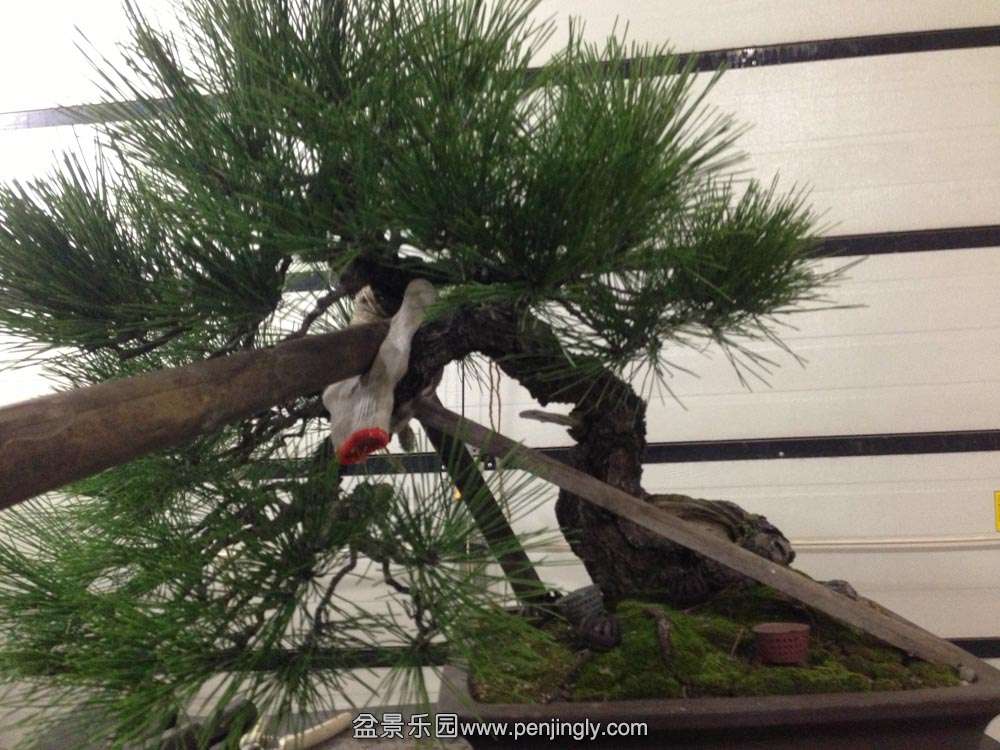 �Ϻ����ͱ� (3).jpg