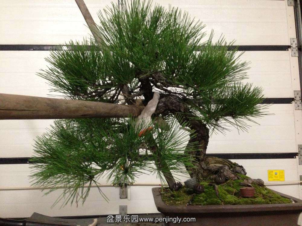 �Ϻ����ͱ� (2).jpg