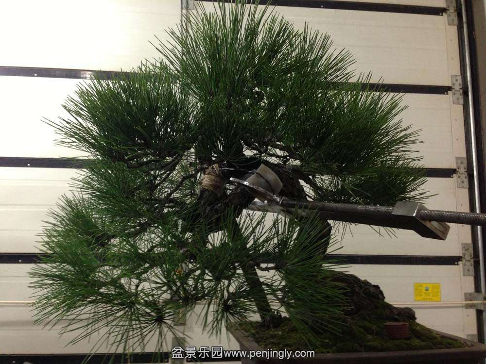 �Ϻ����ͱ� (4).jpg