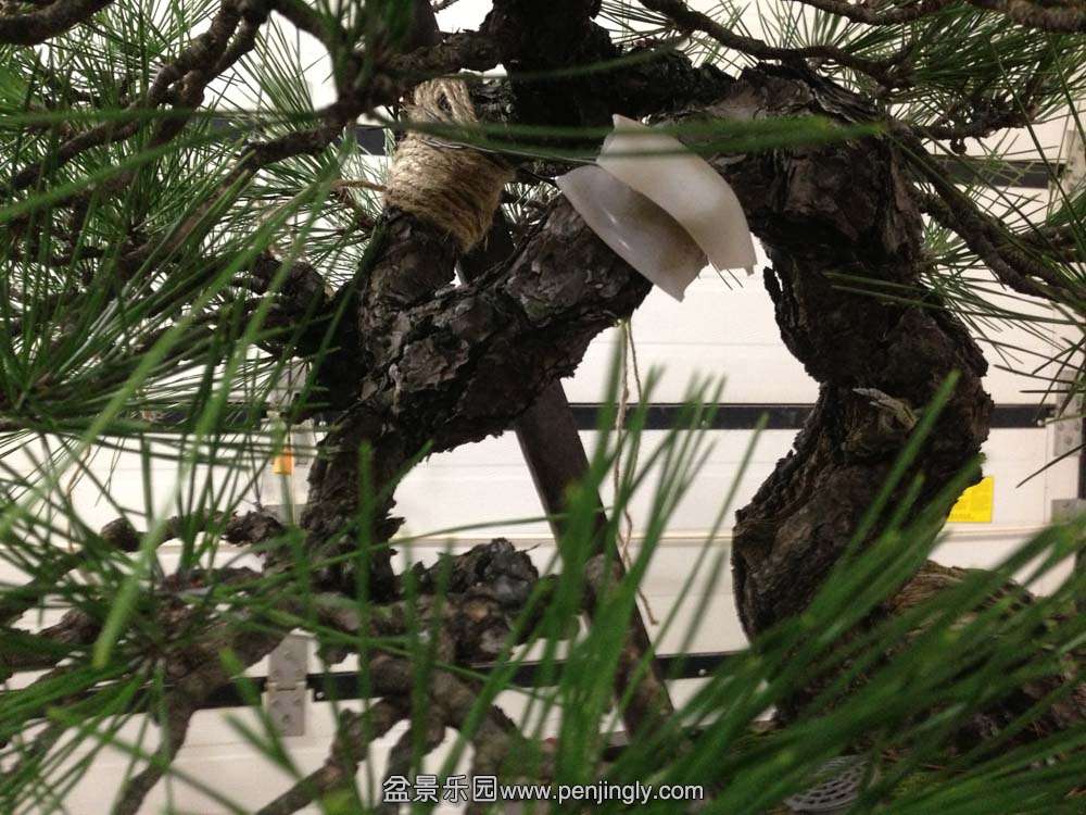 �Ϻ����ͱ� (5).jpg