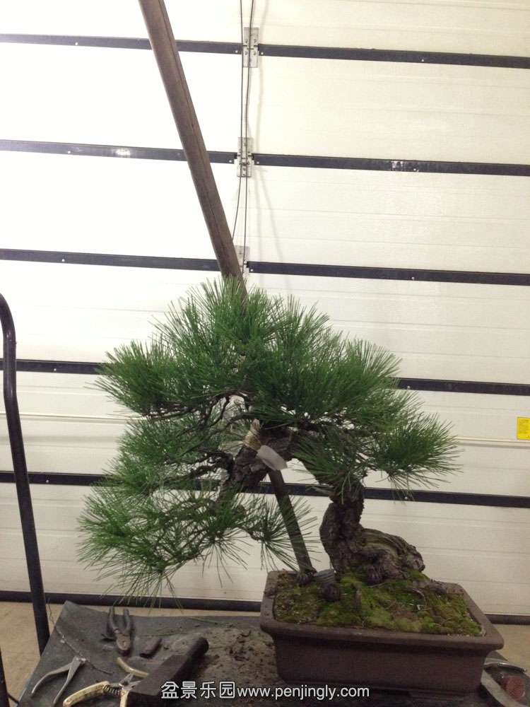 �Ϻ����ͱ� (6).jpg