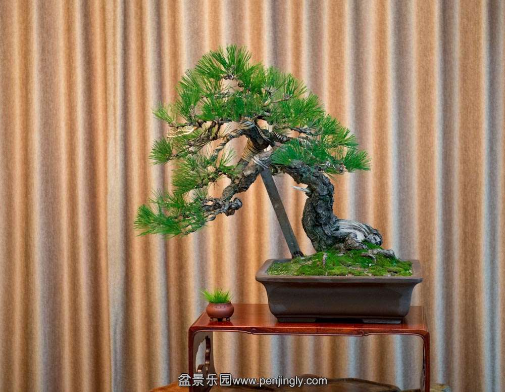 �Ϻ����ͱ� (8).jpg