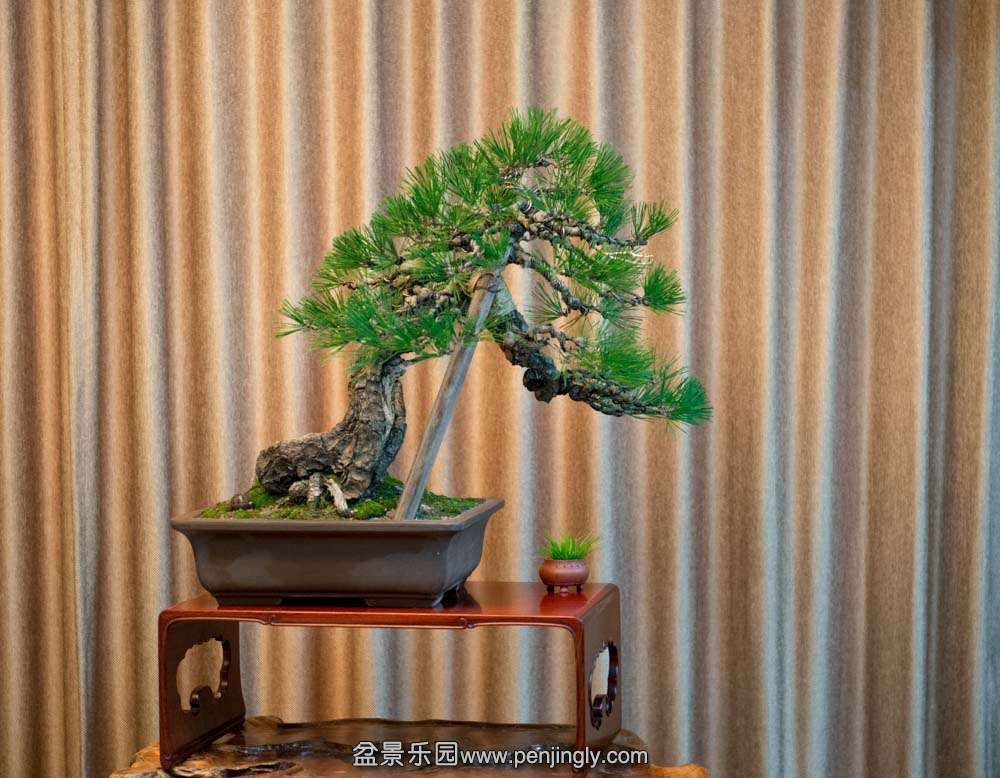 �Ϻ����ͱ� (10).jpg