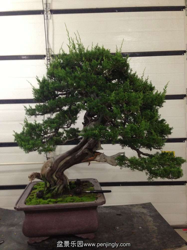 ԭ��ϵ�㴨��� (1).jpg