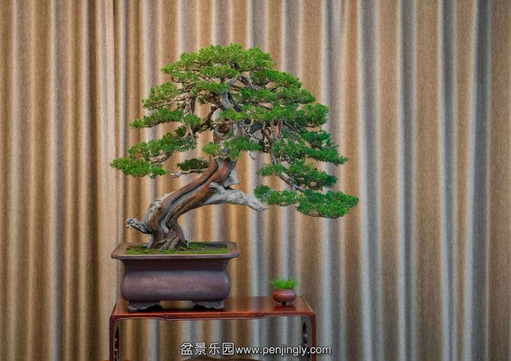 ԭ��ϵ�㴨��� (2).jpg