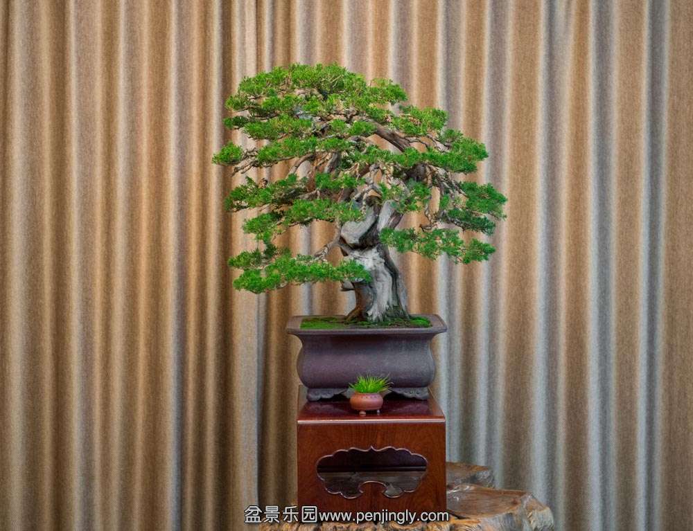 ԭ��ϵ�㴨��� (3).jpg