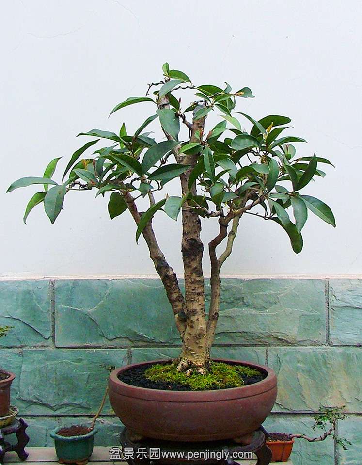 20130214.jpg