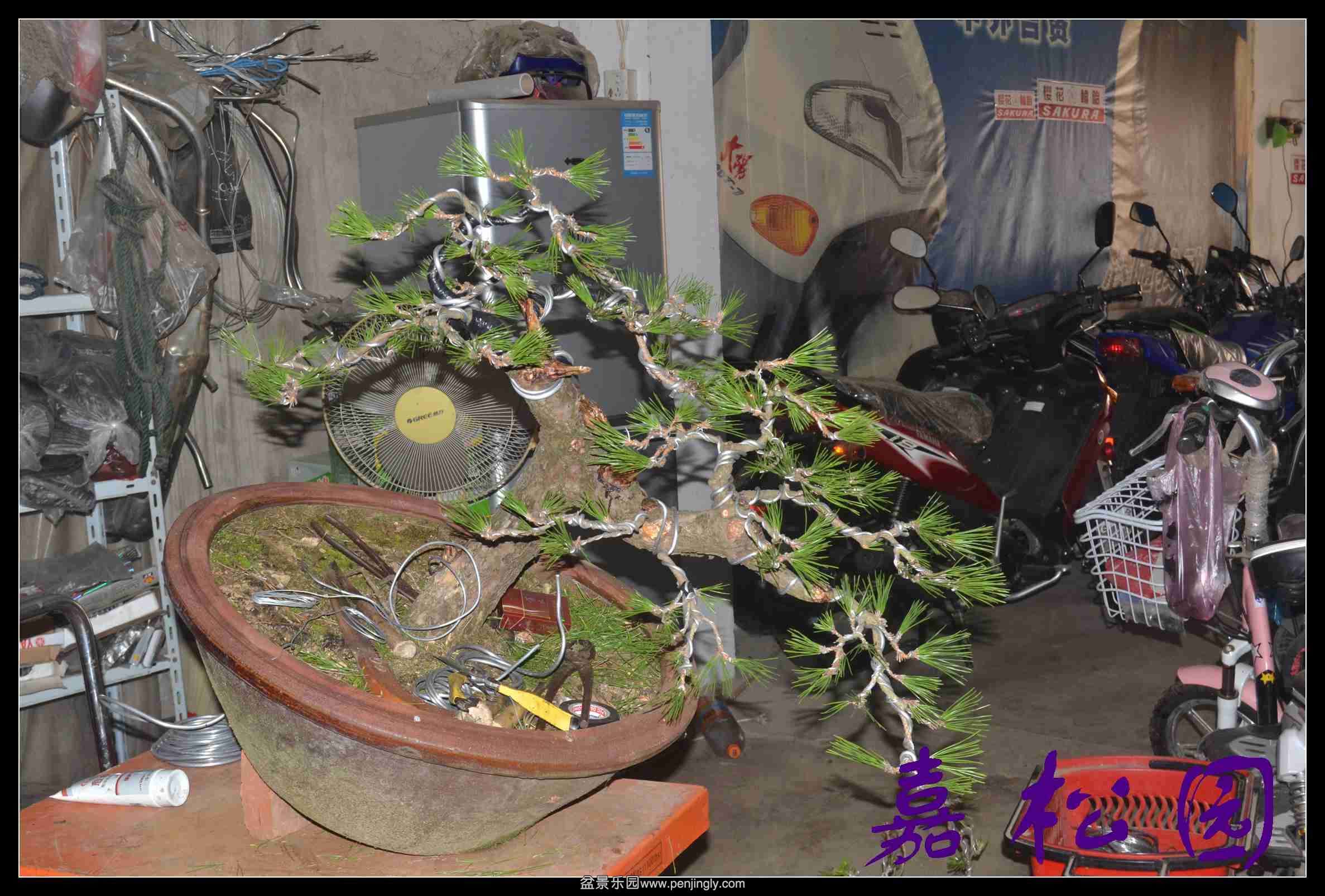 ���� 002.JPG