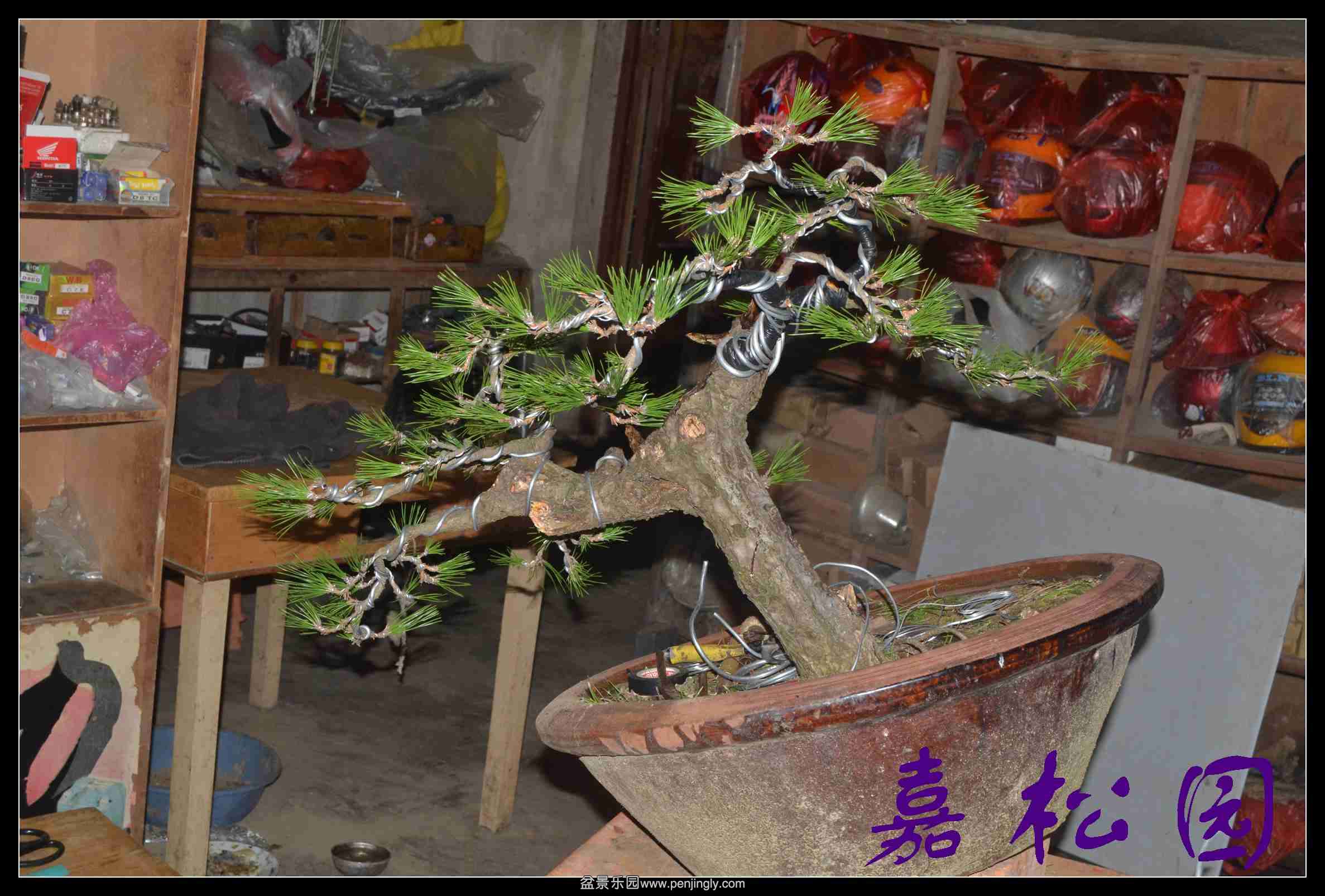 ���� 007.JPG