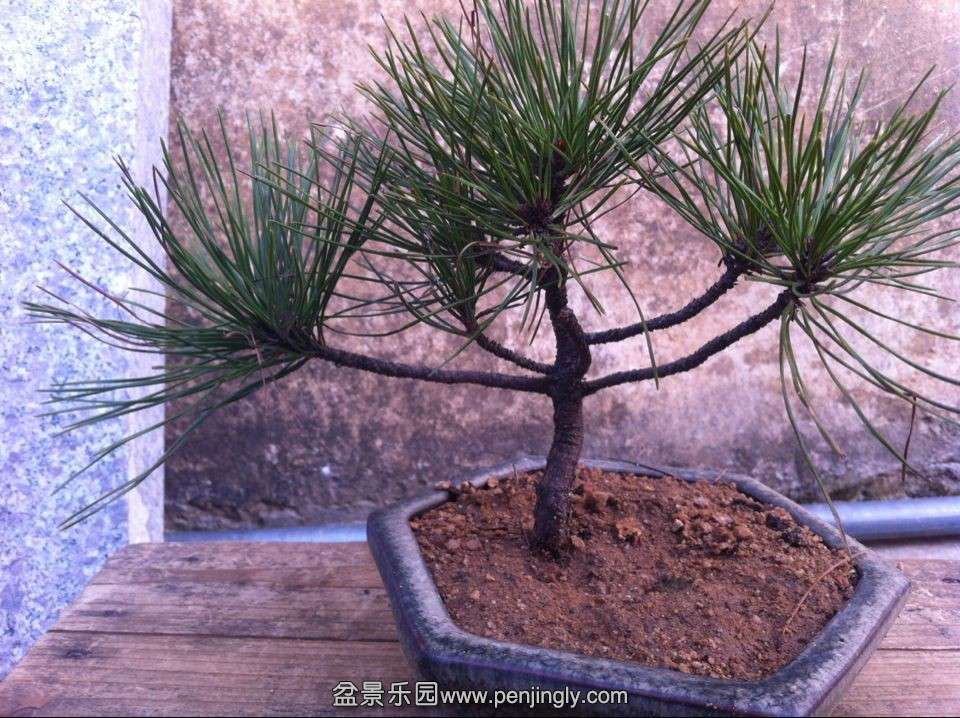 QQͼƬ20140201164703.jpg