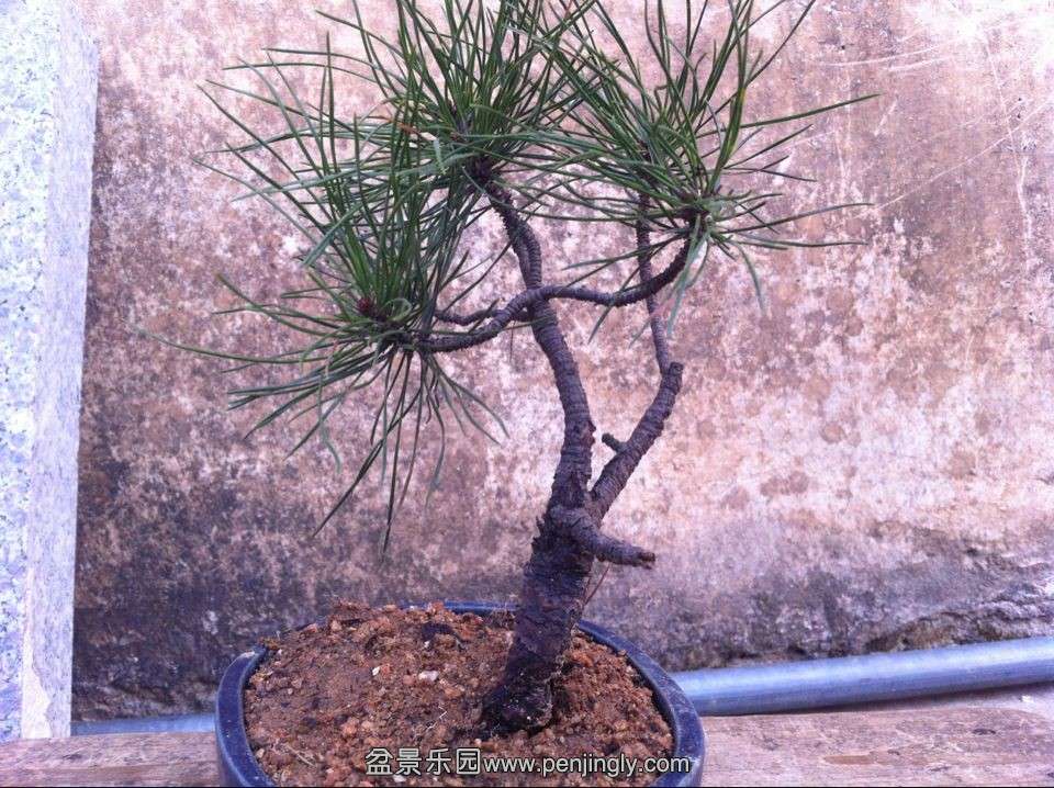QQͼƬ20140201164711.jpg