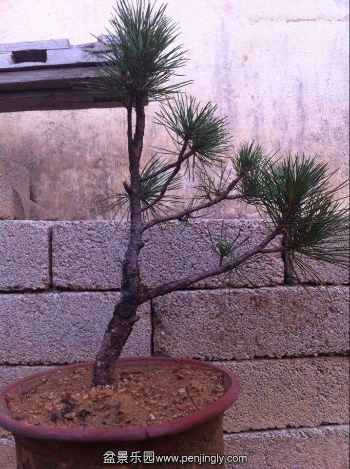 QQͼƬ20140201170821.jpg