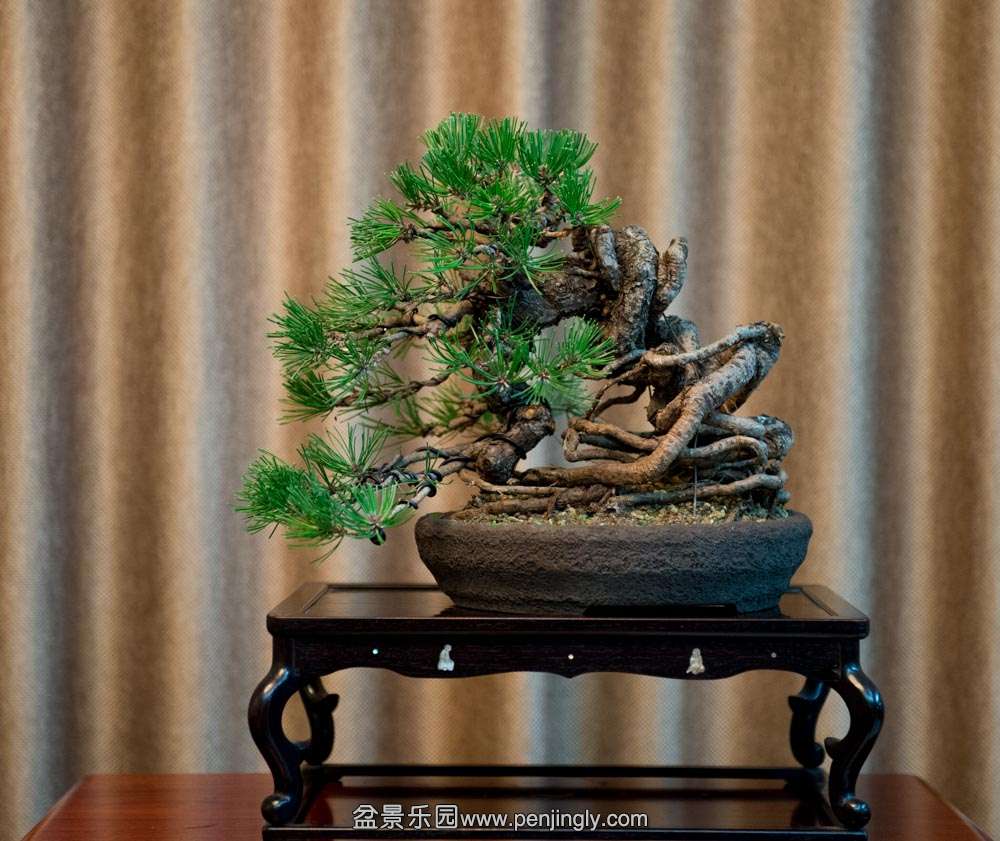 ������� (1).jpg