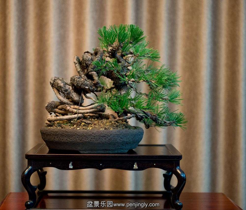 ������� (2).jpg