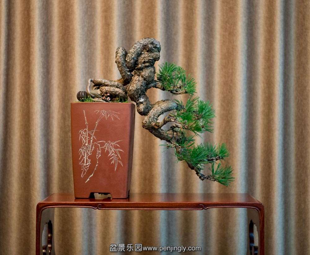 ���º��� (2).jpg