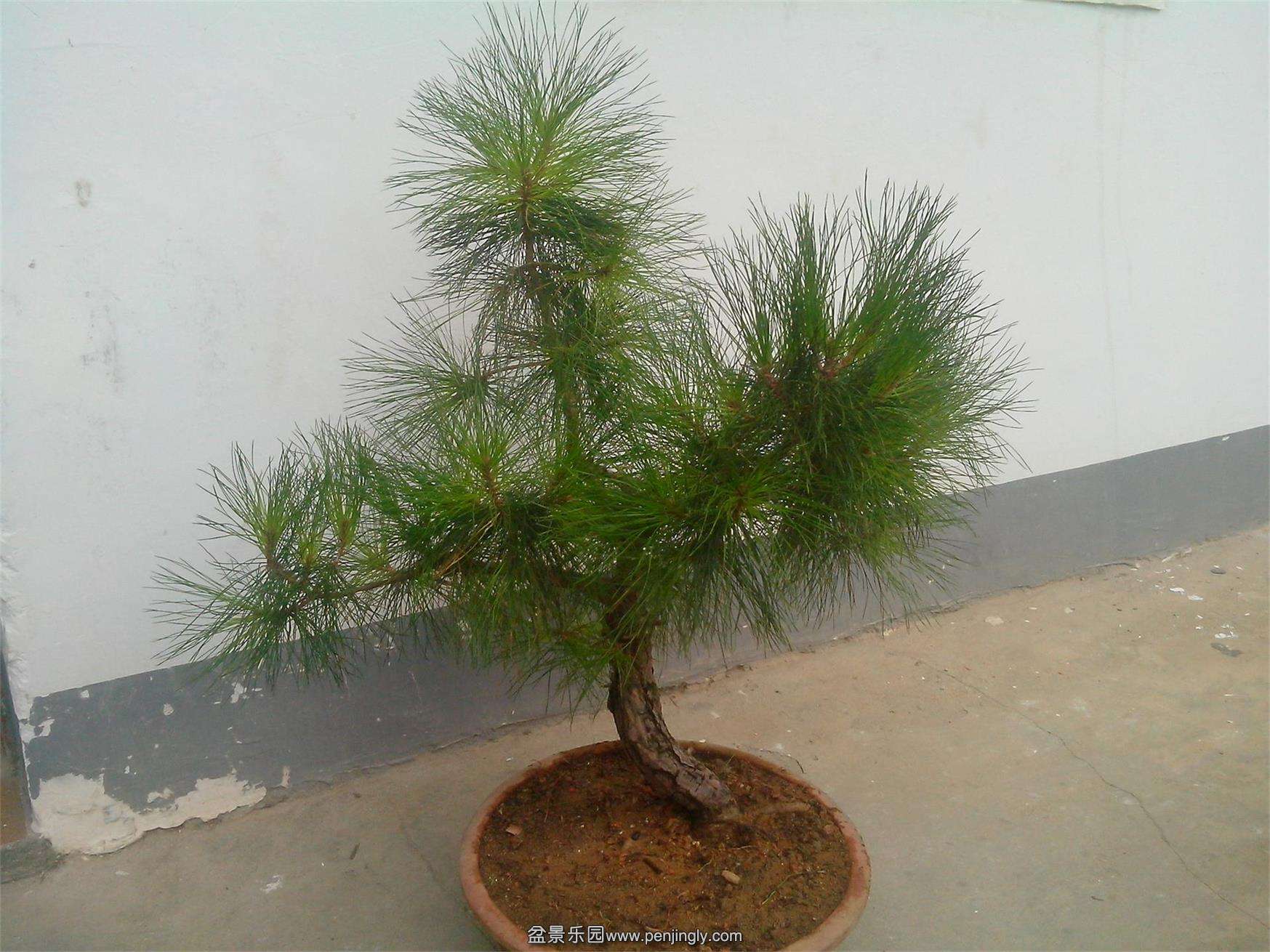 IMG20140924010.jpg