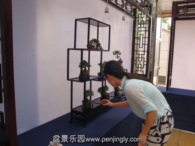 DSC08997.JPG
