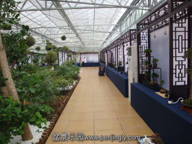 DSC09002.JPG