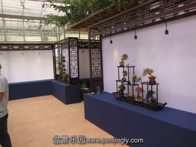 DSC09018.JPG