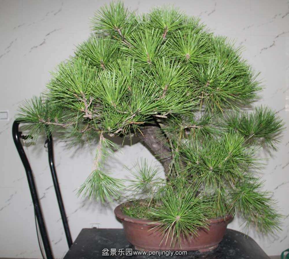 ���Ժ��� (1).jpg