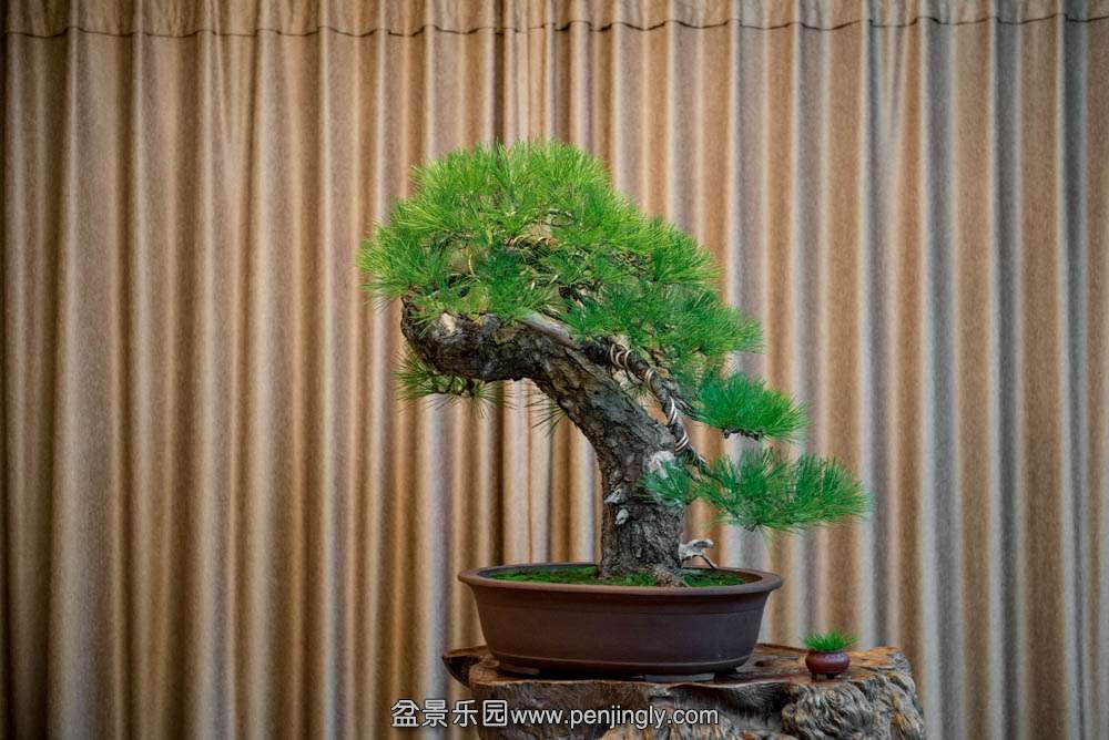 ���Ժ��� (2).jpg