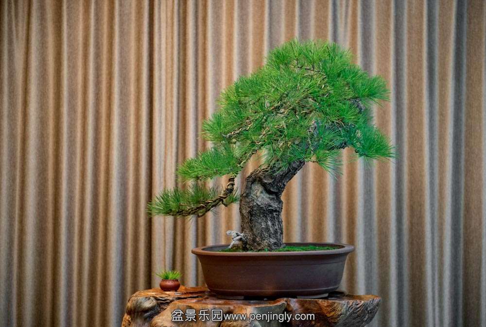 ���Ժ��� (3).jpg