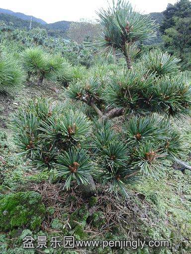 20140923_112307.jpg
