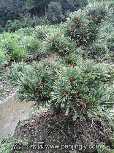 20140923_112535.jpg