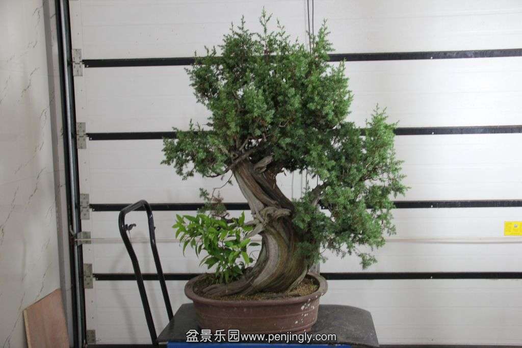 �̰ظ��� (1).jpg