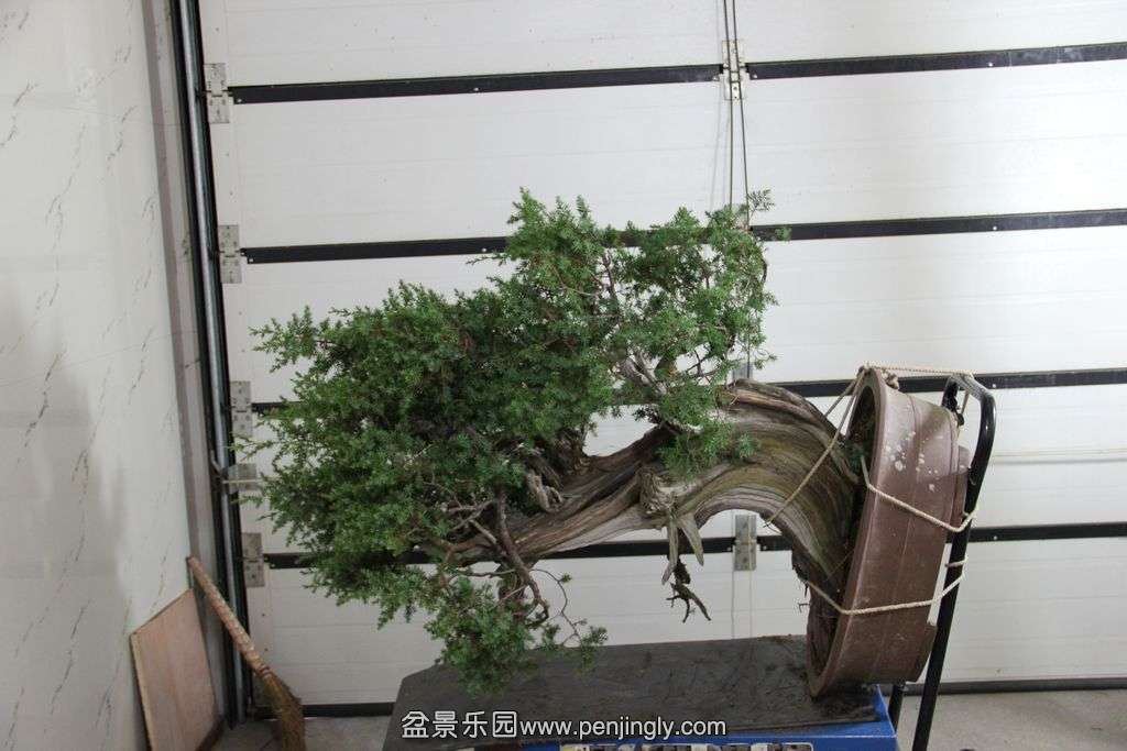 �̰ظ��� (2).jpg