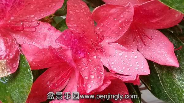 20140927_160920_.jpg