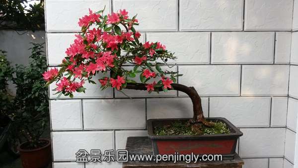 20140927_160450_.jpg