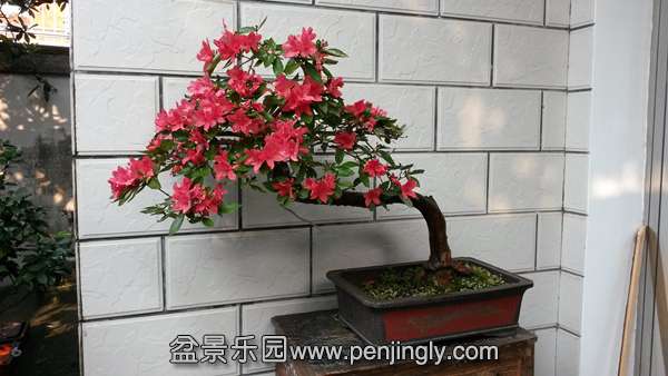 20140927_160458_.jpg