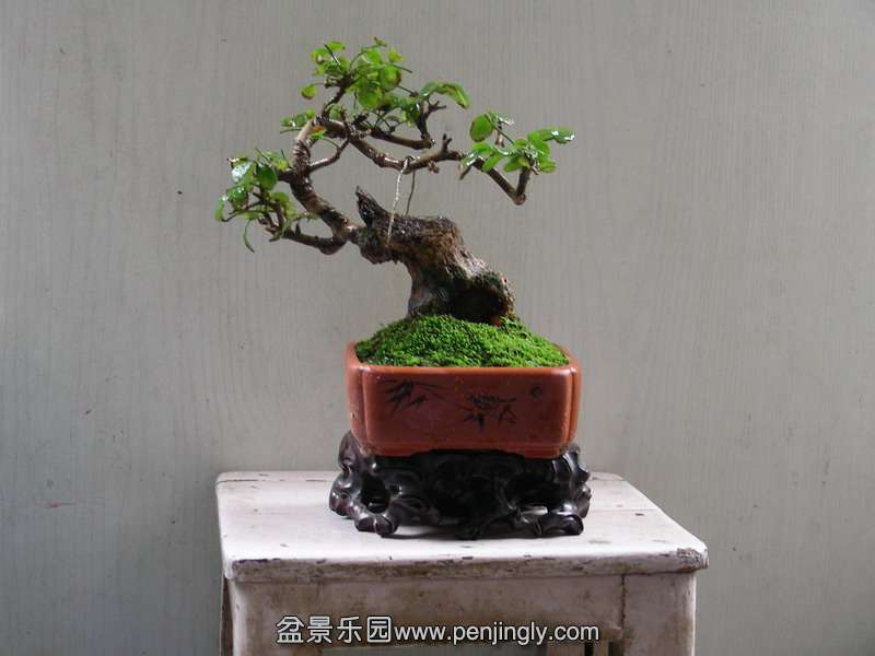 DSCN3750.JPG