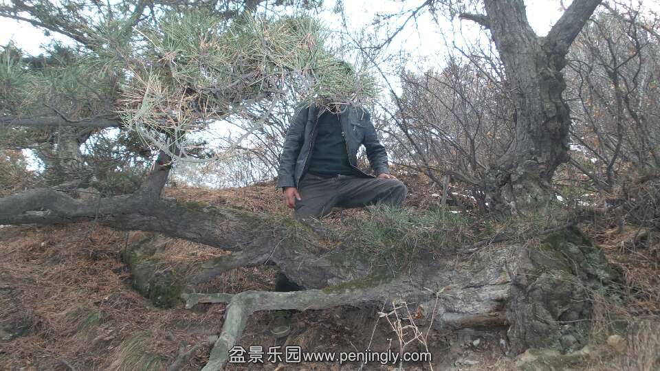 20140224_100835_2.jpeg