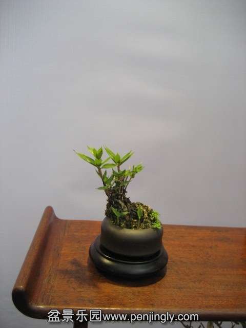 QQͼƬ20140928213935.jpg