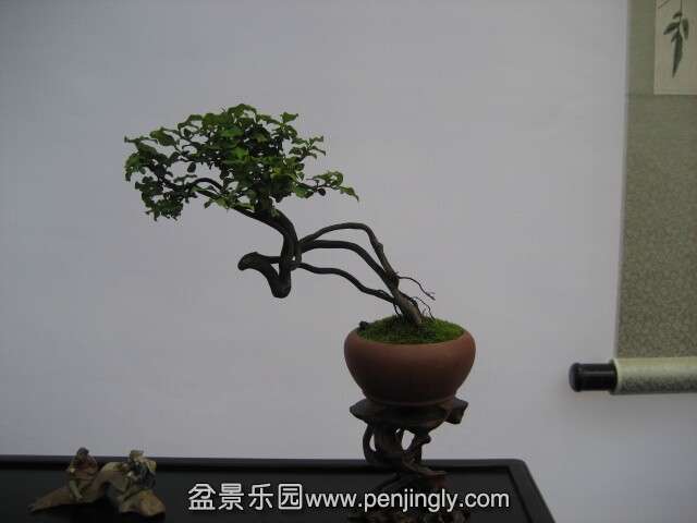 QQͼƬ20140928214012.jpg