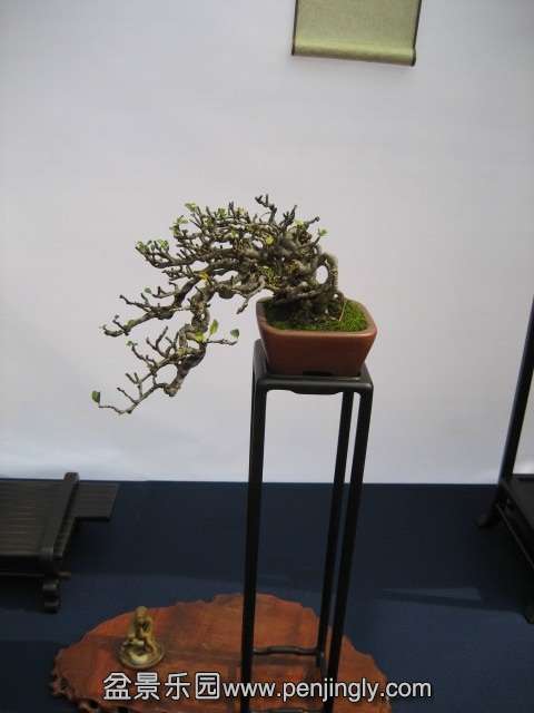 QQͼƬ20140928214047.jpg