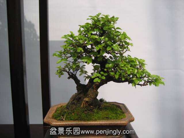 QQͼƬ20140928214232.jpg
