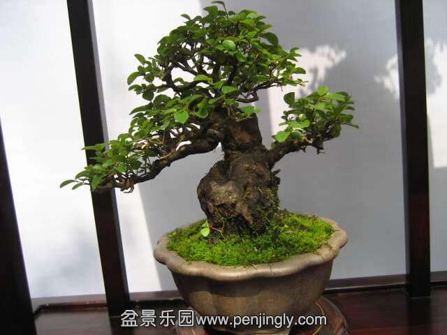 QQͼƬ20140928214303.jpg