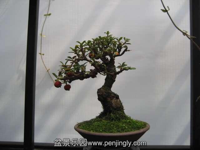 QQͼƬ20140928214527.jpg